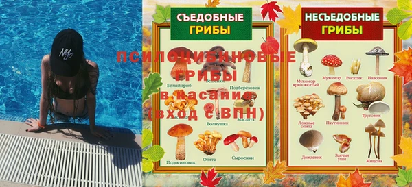 прущий лед Осинники