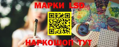 спиды Аргун
