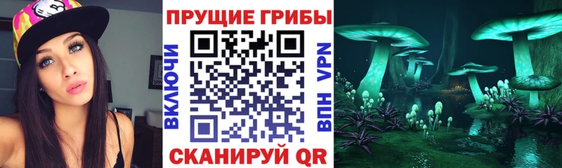 Псилоцибиновые грибы Magic Shrooms  Тобольск 