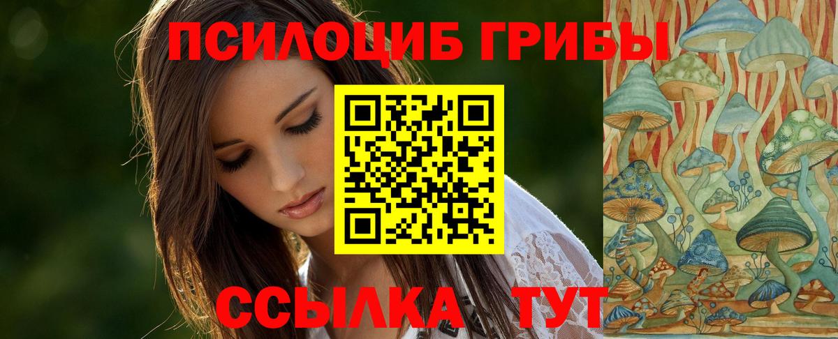 Псилоцибиновые грибы Psilocybe  Тобольск 
