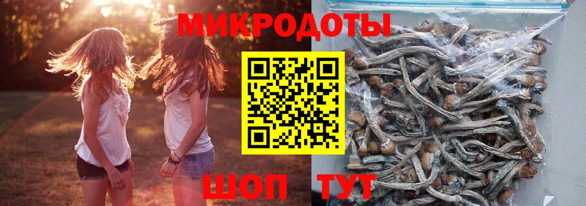Псилоцибиновые грибы Magic Shrooms  Вход с VPN  Тобольск 